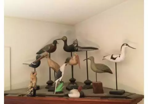 A collection of 12 wooden birds